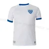 2023 Avai FC Soccer Jerseys Leao Da Ilha Away White Avai Mauricio Leandro Da Silva Betao ALEMAO LUAN Cappa Simiao Marquinhos Romulo 23/24 Football Shirt Uniform