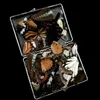 Dekoratif Nesneler Figürinler 50pcs Set Gerçek Doğal Örnekler Kelebek Kanatları DIY Mücevher Sanat Örneği Sanat El Zanaat 230403