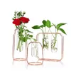 VASES NORDIC INS PLATING GOLD ROSE IRON ART TEST TUBE GLASS VASE FLOWER ARFILNAGE PLANT PLANT HYDROPONICS DECORATION