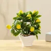 Fleurs décoratives Pratique Simulation Bonsaï Décor Léger Réutilisable Artificielle Auspicieux Arbre Fruitier
