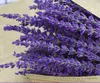 Decorative Flowers Denisfen Dried Lavender Bouquet Real Flower Plants Branch Floral Home Wedding Decoration Accessories