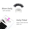 Makeup Tools TDANCE Easy Fan Lashes Faux Mink Eyelash Extension Fast Bloom Austomatic Flowering SelfMaking Volume Soft Natural Beauty 230403