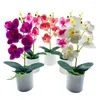 Decorative Flowers Artificial Bonsai Fancy 5 Heads Faux Silk Flower Romantic Beautiful Fake Orchid Wedding Favors