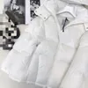 Boutique Down Jacket Diseñador de alta calidad Otoño e invierno Chaqueta de plumón con capucha de manga larga informal para mujer Espesada a prueba de frío y cálida para