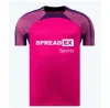 23 24 SUNDERLANDS Accueil Maillots de football STEWART SIMMS ROBERTS AMAD CLARKE DAJAKU EMBLETON EVANS NIEN Maillot de football PRITCHARD Hommes Kit Enfants