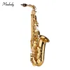 Eb Saxofón Alto Latón Lacado Oro Mi bemol Alto Saxofón Instrumento de viento de madera con bolsa de transporte Guantes Correas Cepillo de accesorios para saxofón