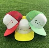 Kamyon şapkası renkli logo kamyon şapkası kamyoncu şapkaları ayarlanabilir toptan satış