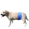 Vêtements pour chiens couche-culotte réutilisable pour animaux de compagnie marque de mode Shorts lavable confortable chat pantalon enveloppes produits sanitaires durables