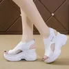 Sandaler Kvinnors sandaler Summer Wedge Heel Elastic tyg Cover Foot Ladies Sandaler Tjocksoled Fashion Troifle Elevation Casual Shoes 230403