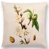 Kussen aquarel mooie vogels bloemen planten kolibrie roos frambozen dille kruidnagel amandelen sofa throw /decoratief