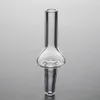 10mm Micro neactar collect kit Mini smoke NC Kits with Stainless Steel Tip Glass Bowl for water Pipe Small Oil Rigs dag rig