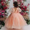 Girl Dresses Cute Pink Flower Dress For Wedding Tulle Fluffy Floor Length Short Sleeves Kids Birthday Party First Communion Ball Gowns