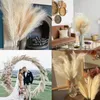 Decorative Flowers 100cm Artificial Pampas Grass Large Tall Fluffy Bulrush Reed For Vase Filler Home Room Kitchen Wedding Office Boho Decor