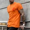 メンズTシャツTシャツTシャツグラフィックプリントクルーネックカジュアルホリデー半袖衣料品アパレルスポーツ夏の特大ストリートトップ230404