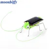 Solenergileksaker Solgräshopper Utbildning Solen Powered Grasshopper Robot Toy Obligatorisk Gadget Gift Solar Toys Inga batterier för barngåvor