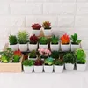 Decorative Flowers Artificial Mini Plants Vivid Lotus Succulents Fake Bonsai Floral Craft For Office Decoration Home Decor About 3-8cm