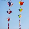 Kite Accessories free shipping 3d kite windsocks kite tails flying outdoor games kite accessories kitesurfing equipment kite flying with string Q231104