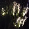 Gräsmattor Garden Solar Reed Lights Outdoor Fiber Light Waterproof Garden Lamp Simulation Landscape Lamps For Home Patio Dekoration P230406