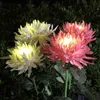 Gazonlampen zonne -led licht buiten tulpen rozenbloemlamp huizen tuin tuin tuinen landschap waterdichte tuinlichten outdoor zonnelampen p230406