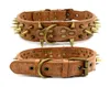 Luxury Designer Retro Antibite Bronze Spiked Rivet Dog Collars Adjustable Pu Leather 3 Colors 2 Sizes for Big Dogs L Sharp Brow1840284