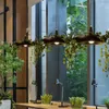 Pendelleuchten Nordic DIY Blumentopf Lampe Himmel Garten Küche Hängeleuchten Esszimmer Leuchten Pendelleuchte Wohnkultur