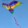 Kite Acessórios 3D Parrot Kite Single Line Flying Kites com cauda e alça Kite Children Flying Bird Kites Windsock Outdoor para adultos e crianças Q231104