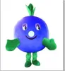 Halloween blueberry doll Mascot Costumes Carnival Hallowen Gifts Adults Fancy Party Games Outfit Holiday Celebration Cartoon Character Outfits