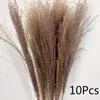 Decorative Flowers Natural Tail Grass Dried For Decor Lagurus Bouquet Boho Indoor Coffee Table Decoration