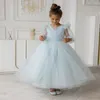 Girl Dresses Flower Summer Light Blue Long Sleeves Wedding Elegant Child's Eucharistic Birthday Party Dress Gift