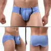 Underpants Sexy Underwear Gay Slips Lingerie Mens Low Waisted With Ice Silk Nylon Mesh Breathable Briefs Panties