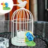 Kommen hangende traktatie foerageren s squiz Toys Clear Wheel Budgie Missing Parrot Bird Cage Feeder Plaything