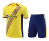 2023 Barcelone Survêtements hommes maillots de football barca costume d'entraînement Maradona PEDRI 23 24 nouveau Barcelone manches courtes ensemble de vêtements de sport Chandal futbol sweat-shirt haut