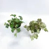 装飾的な花1pc人工植物は偽の草プラスチックグリーンシミュレーションアイビーリーフデスクトップ盆栽