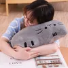 New Cartoon Big Face Biscuit Cat Soft Throw Pillow Soft Fill Gift Cat Cushion Big Lazy Cat Plush Toy Doll Gifts