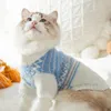 Costumes de chat Chaleur et épaississement Argyle Pull Teddy Petit Moyen Chien Vêtements Bipedal Pet Automne Hiver Chandails Chats Produits Chauds