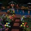 Iluminagem solar luzes solares simulação simulação lanterna rosa ip65 impermeável LED LED Solar Decorative Flower Light for Garden Terrace Path Drivingway P230403