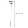 Decorative Flowers Artificial Mini Simulation Stars Home Wedding Party Flower Arrangement Accessories Decorations Po Props