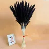 Decorative Flowers 60pcs/Lot Natural Real Small Pampas Grass High Quality Shop Decoration Wedding Set Dried Reed Black White Pink