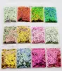 Nail Glitter 10gbag Mix Size 3mm 4mm 5mm Four Point Stars Chameleon Holographic Star For Polish Decor Sequins CPD102656215389