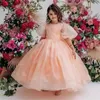 Girl Dresses Cute Pink Flower Dress For Wedding Tulle Fluffy Floor Length Short Sleeves Kids Birthday Party First Communion Ball Gowns