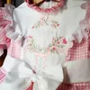 Girl's Dresses Baby Summer Pink Plaid Flower Embroidery Turkish Princess Dress for Birthday Wedding Baptism Holiday Casual 230403