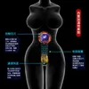 AA Designer Sex Doll Toys unisex w pełni automatyczny dolnej części ciała ssanie odwrócona pleśń pół ciała klip ssący zasysanie elektryczne plamki dla dorosłych produkty produkty