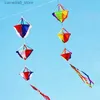 Kite Accessories free shipping 3d kite windsocks kite tails flying outdoor game sport for adults kite accessories kitesurf full equipment jouer Q231104