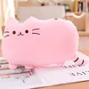 New Cartoon Big Face Biscuit Cat Soft Throw Pillow Soft Fill Gift Cat Cushion Big Lazy Cat Plush Toy Doll Gifts