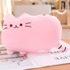 Nouveau dessin animé Big Face Biscuit Cat Soft Throw Oreiller Soft Fill Gift Cathion Cushion Big Lazy Cat en peluche Toy Doll Cadeaux