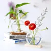Vases Style Office Decor Home Decoration Wood Art Plant Flower Pot Glass Vase Hydroponic Arrangement