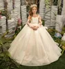 Girl Dresses Flower Dress White Fluffy Tulle Lace Applique Backless Wedding Lovely Child's First Eucharistic Birthday Party