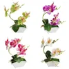 Kwiaty dekoracyjne Kreatywna symulacja Flower Matter Fake Butterfly Orchid Sztuczna dekoracja domu donite