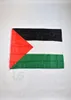 Palestina Bandiera palestinese banner nazionale 3x5 FT90150cm Bandiera nazionale sospesa Palestina Decorazione della casa bandiera ba1556046