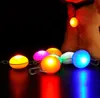 Pet Dog Cat Pendant Collar Flashing Bright Safety LED Pendant Security Halsband Night Light Collar Pendant SN5313